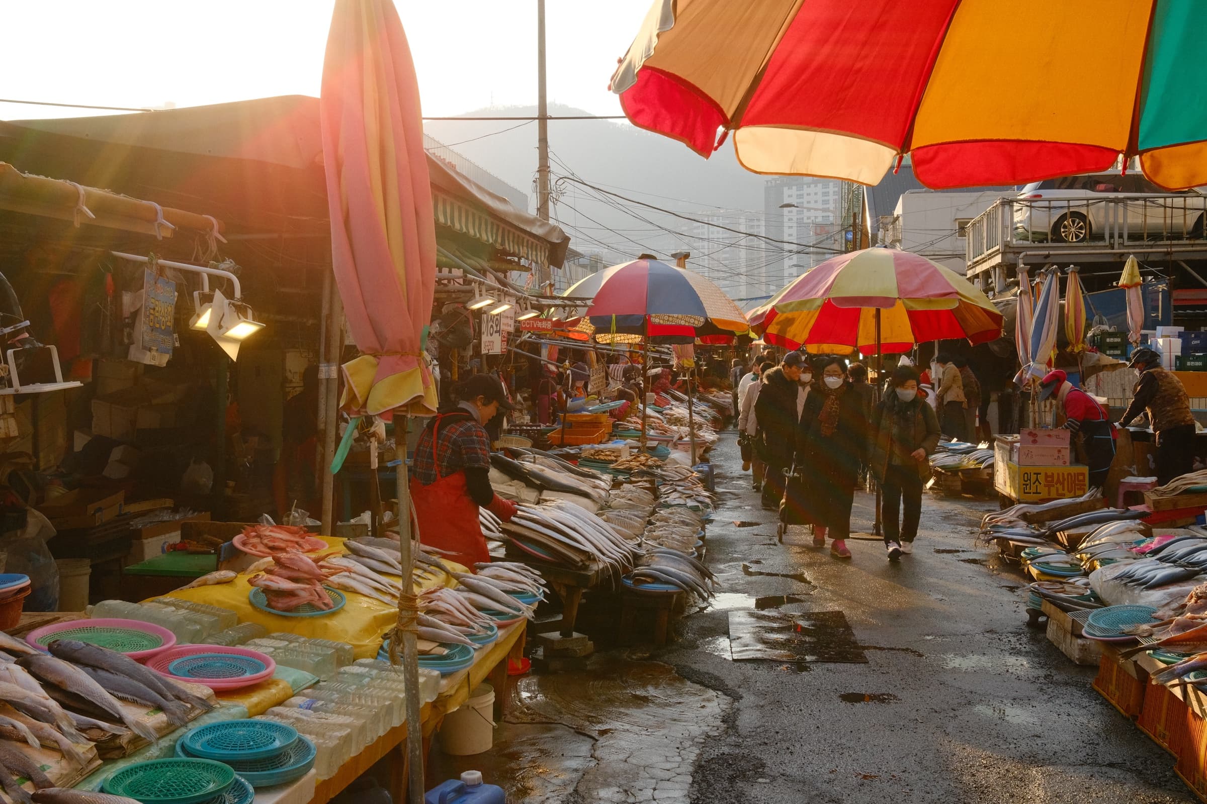 Jagalchi Fish Market, Busan, colourful umbrellas and market stalls at sunrise